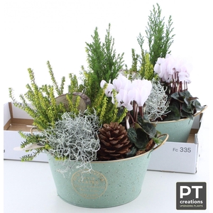 ARR TUINPLANTEN