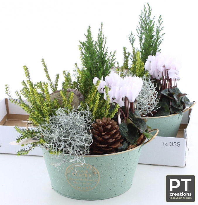 <h4>ARR TUINPLANTEN</h4>