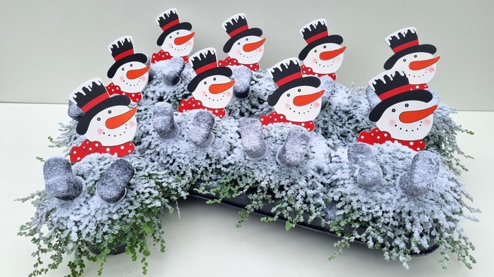 <h4>SOLEI SOL GROEN</h4>