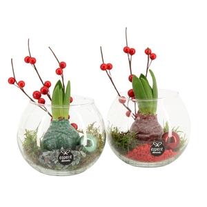 61571: X-mas arrangement