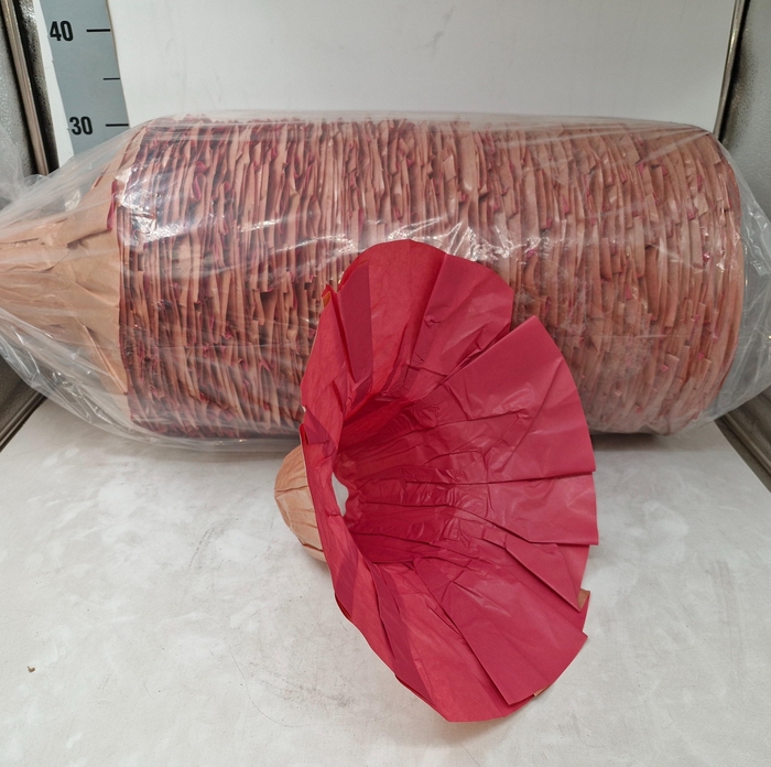 <h4>BOEKETHOUDER H%</h4>