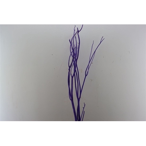 Mitsumata Flaked Lilac 3 Pcs Bunch