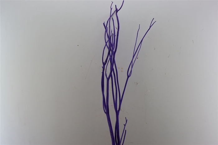 <h4>Mitsumata Flaked Lilac 3 Pcs Bunch</h4>