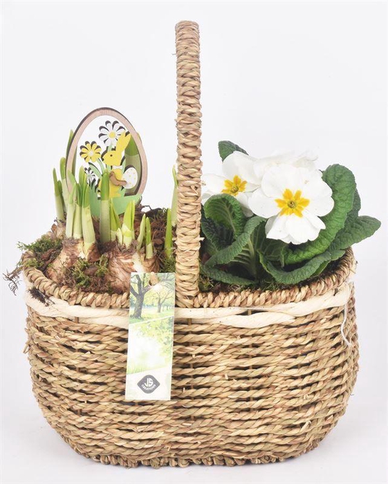 <h4>Natuur touwmand 20x15cm</h4>