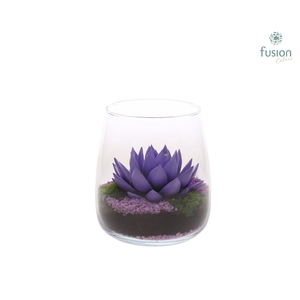 Glas Alzada met geverfde Succulent