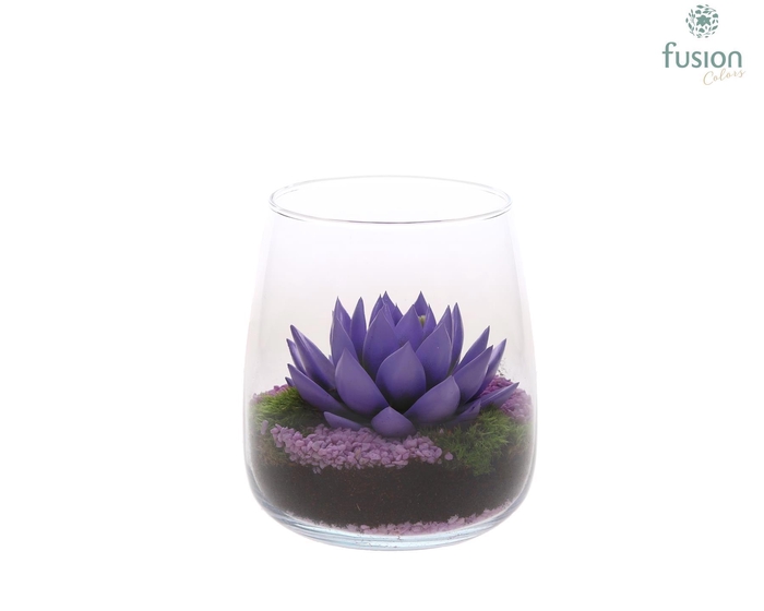 <h4>Glas Alzada met geverfde Succulent</h4>