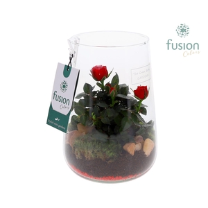 Green Bottle Deline Medium Love met Potroos