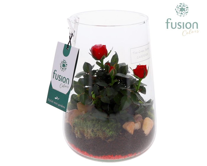 <h4>Green Bottle Deline Medium Love met Potroos</h4>