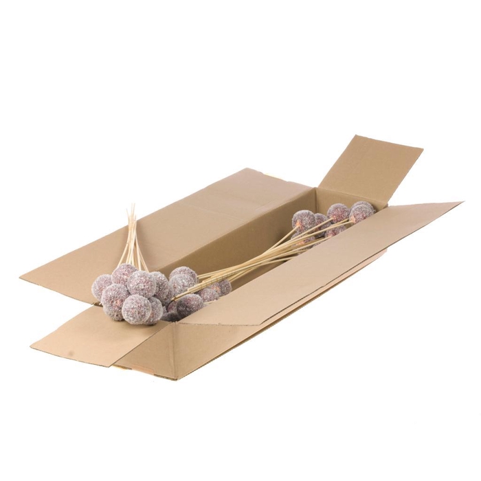 <h4>Apple 5cm O/s Sb Red+snw</h4>