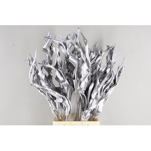 DF Strelitzia Leaf Silver