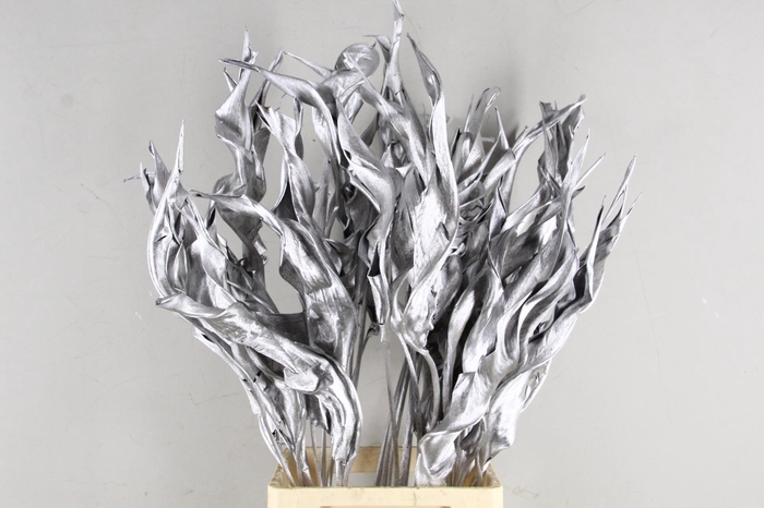<h4>DF Strelitzia Leaf Silver</h4>