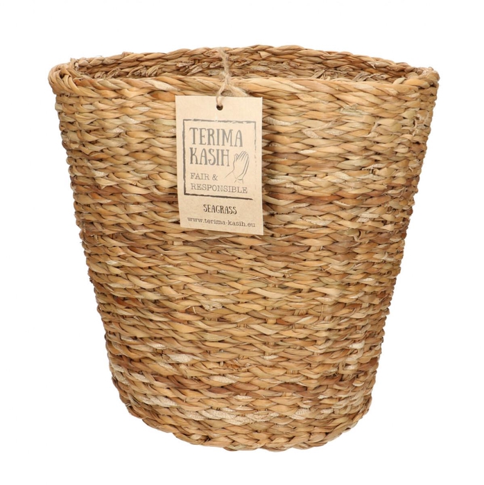 <h4>Promo Terima pot d25*23cm</h4>