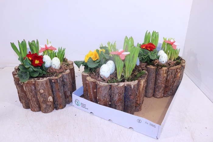 <h4>ARR TUINPLANTEN</h4>