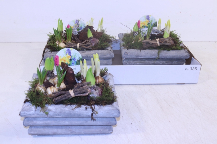 <h4>ARR BOL KNOLGEWAS</h4>