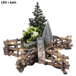 PTCHW4340 Arrangement Christmas White in houten ster