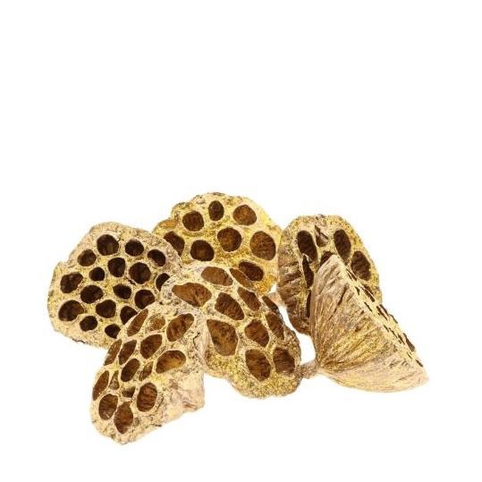 Christmas Deco lotus glitter d08/10cm x6