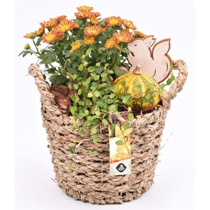 Natuur mand gevl. met oren 18.5cm