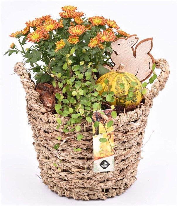 <h4>Natuur mand gevl. met oren 18.5cm</h4>
