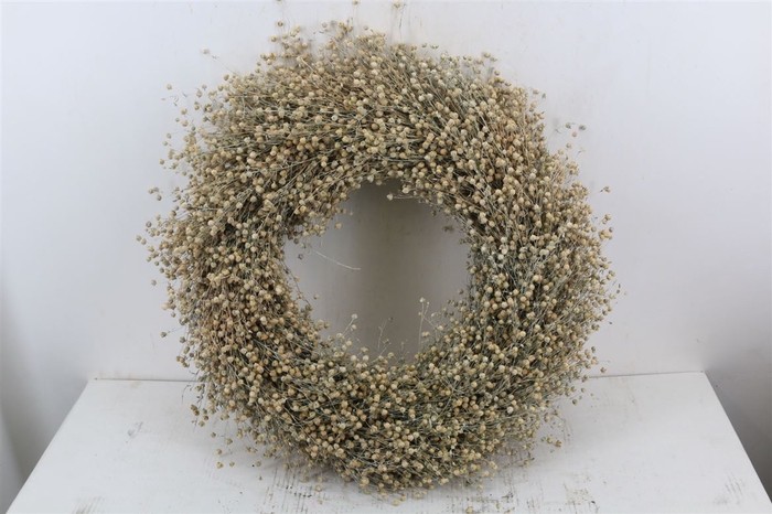 <h4>Wr Vlas 60cm Frosted</h4>