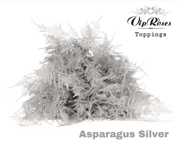 ASP OV 1E VEREN SILVER