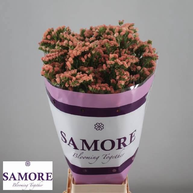 <h4>LIMONIUM SINUATUM 'ROYAL ORANGE'</h4>