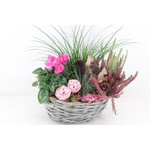 arr4 Outdoor VL - Riet mand ovaal grijs x2