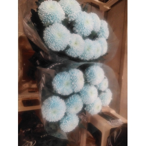 CHR E GEF PP HELL BLAU