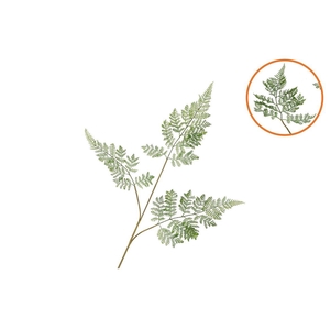 Silk Fern Forest Green 87cm Nm
