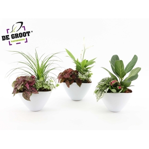 Groenmix in envelopppot