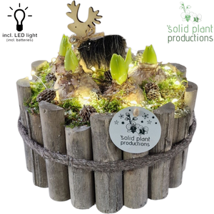 HH002 Milano Grey Large Hyacint + LED