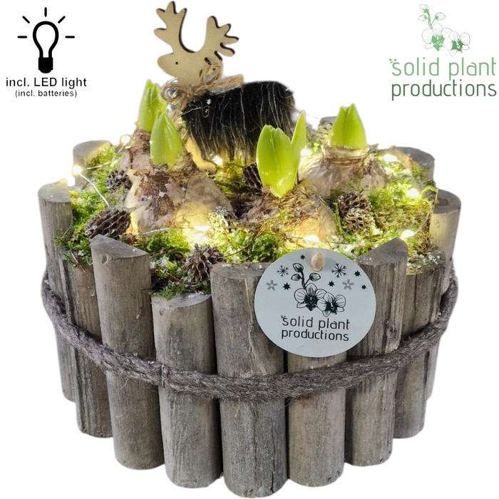 <h4>HH002 Milano Grey Large Hyacint + LED</h4>