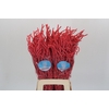 Amaranthus Yearming Desert Coral