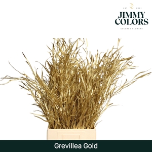Grevillea (bunch) Gold