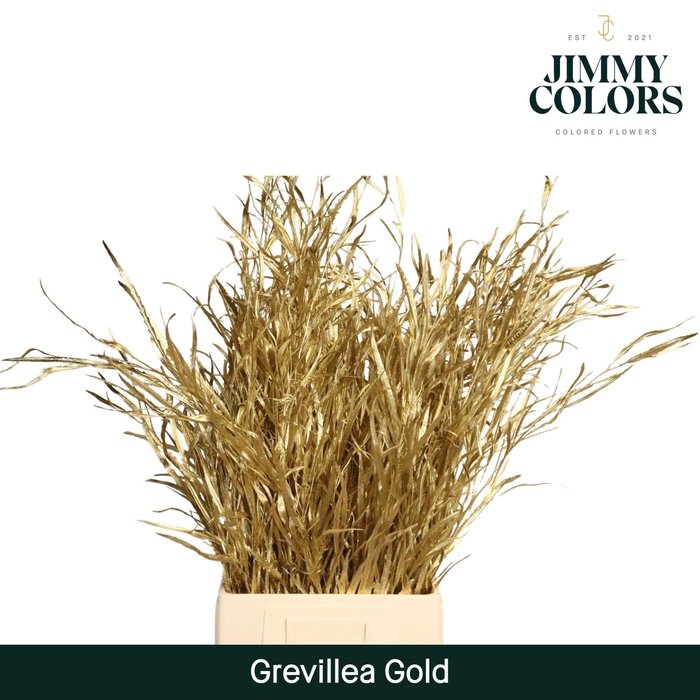 <h4>Grevillea (bunch) Gold</h4>