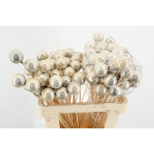 Stick Ball C. Ø4 Champag.Pearl