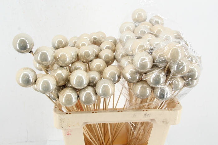 <h4>Stick Ball C. Ø4 Champag.Pearl</h4>