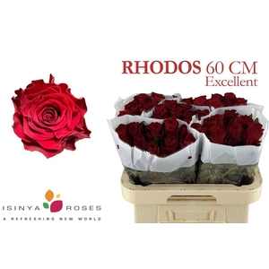 R GR RHODOS