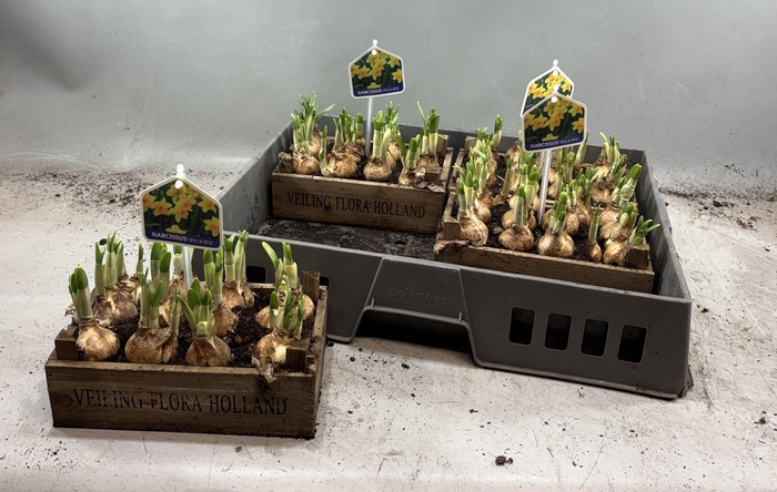 <h4>ARR N TETE A TETE</h4>