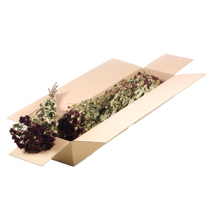 <h4>Roses Spray Sb Natural Red</h4>