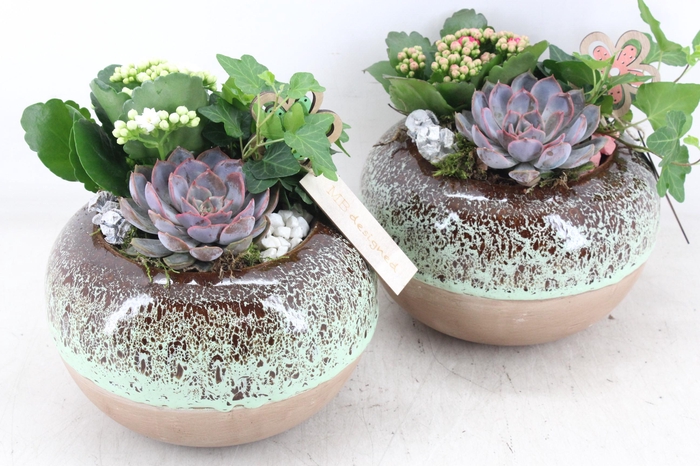 <h4>arr2 MB - Ker. luxe bol 338/3 - roze/wit</h4>