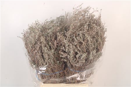 <h4>Thym Cultivato Per Bunch</h4>