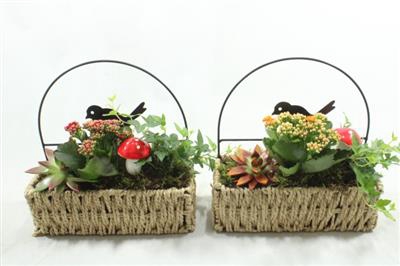 <h4>4741 MAND RH BOOG</h4>