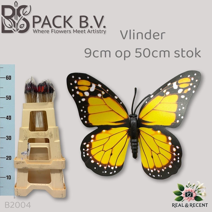 <h4>HUIS EN TUINDECO H%</h4>