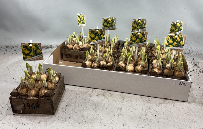 <h4>ARR N TETE A TETE</h4>