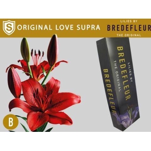 LI LA ORIGINAL LOVE SUPRA QUALITY BOX