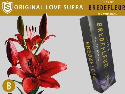 <h4>LI LA ORIGINAL LOVE SUPRA QUALITY BOX</h4>