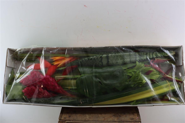 <h4>Helic Mixbox Fiesta</h4>