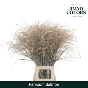 Siergras L90 Klb. Zalm