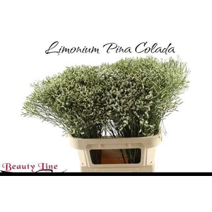 Lim Sin Sen P Colada