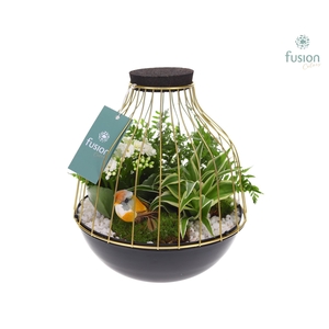 Vogelkooi metaal goudzwart Large met arrangement